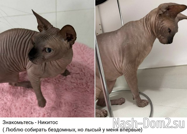 Евгения Дорожкина обзавелась новым питомцем Евгения Дорожкина обзавелась новым питомцем